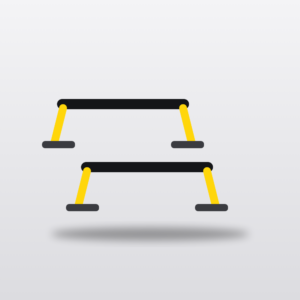 Power Parallettes — Pair