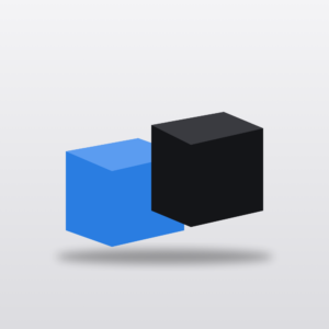 Power Yoga Blocks — Pair